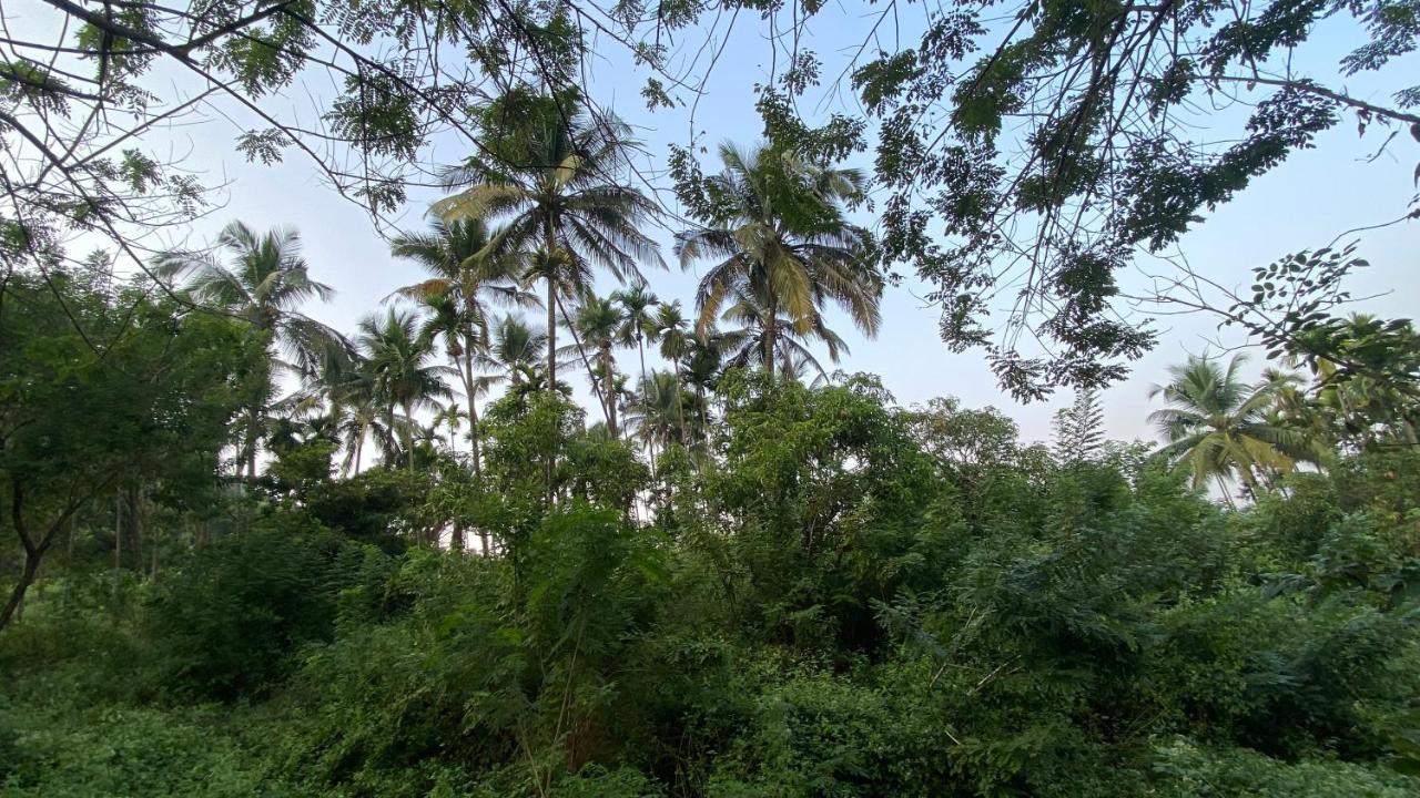 Lermitage Farms Kashid Alibaug Villa Luaran gambar