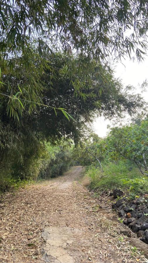 Lermitage Farms Kashid Alibaug Villa Luaran gambar