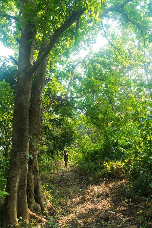 Lermitage Farms Kashid Alibaug Villa Luaran gambar